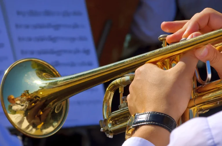 What is the most important brass instrument used in jazz?